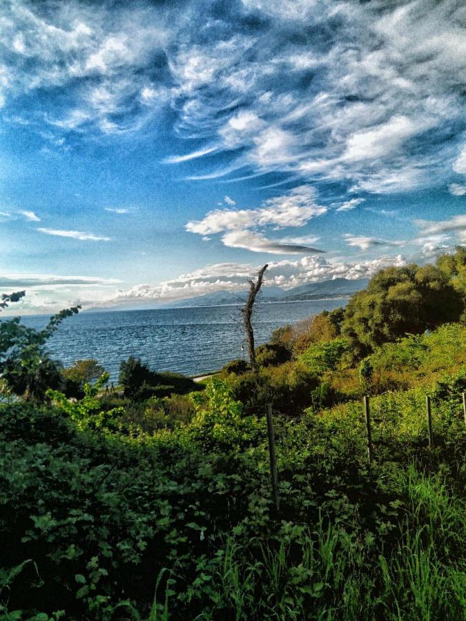 Amalias Place Mytikas  Dış mekan fotoğraf